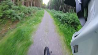 14.06.2017 p5 Prestegårdsskogen, Askim, Norway