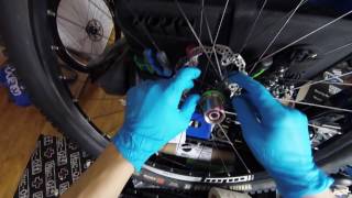 Hope Pro 4 Freehub service