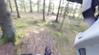 05 04 2017 i Hovskogenp2
