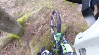 05 04 2017 i Hovskogen p1