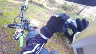 22 03 2017 Hovskogen part4