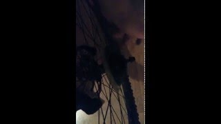 worn Shimano Boss/freehub - a signs that the...
