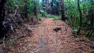 Gobblers Knob @ Te Miro MTB Park