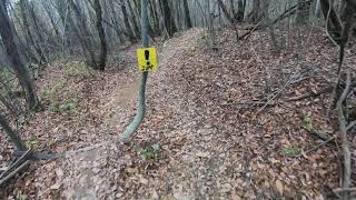 Scartoz RAW