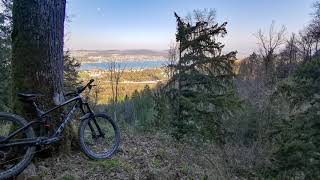 Best #Trail down from #Üetliberg?