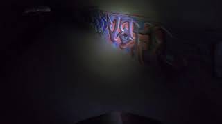 Raw Clip #5 Scenic tunnel, lol... (Pittman...