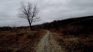 Trexler Mountain Biking - Snake DH