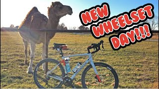NEW WHEELSET DAY!!! Zipp 303 Firecrest First Ride