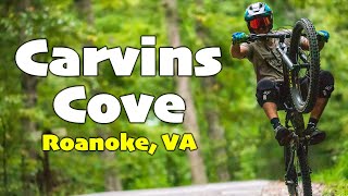 MTB at Carvins Cove - CRAZY JUMP LINE AND...