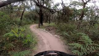 Red Hill Trail 9 - Fall Line - November 2020