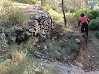 Sendero Luminoso