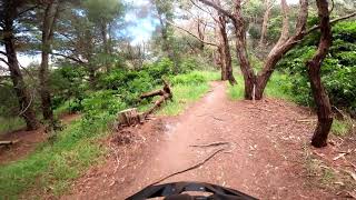 East Link - Red Hill Trail 5