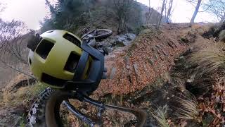 Carbon Trail