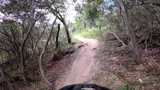 red hill mtb trails