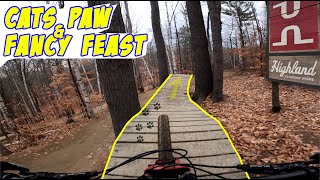 Cats Paw and Fancy Feast, the best flow!
