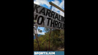 Eildon MTB Jumps #shorts