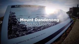 Mount Dandenong Summit to Base