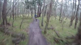 Close Encounters of the Roo Kind