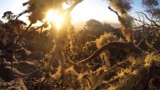 Mt William Sunset – Grampians