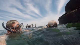 Black Rock – Snorkelling Around the Cerberus
