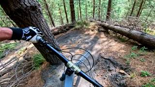 North Face @ Eskdale MTB Park.