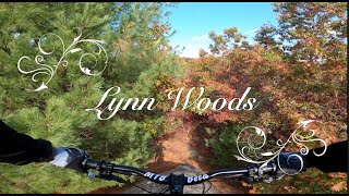 Lynn Woods - Random Shots and Highlights