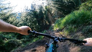 Are you addicted? Addiction MTB trail at...