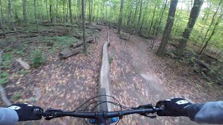 Fallen Tree Skinny - Mountain Bike Challenge |...