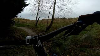 Strzelin - Singletrack S1 - S4