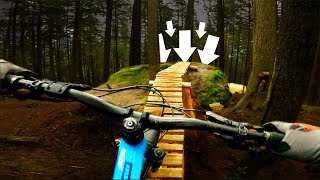 RYAN'S DREAM TRAIL // 'Boondocker' leaves me...