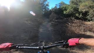 MUSCHY PUSCHY : MTB