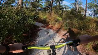 POV - Golpher Tortise Trail - Reed Bingham...