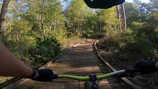 POV - Yearling Trail - Reed Bingham State Park...