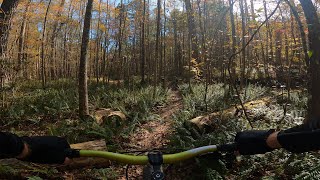 POV - Red Trail - Hard Labor Creek State Park...
