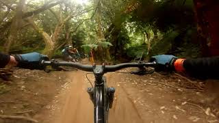 Waratah into Wicked Styx - Maydena Bike Park