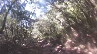Kontija trail