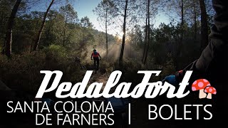 Following Alberto - Bolets (Santa Coloma de...