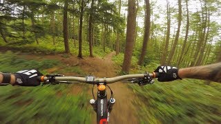 Guisborough Woods recovery ride. Strange...