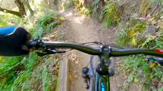 Camp Tamarancho Loop