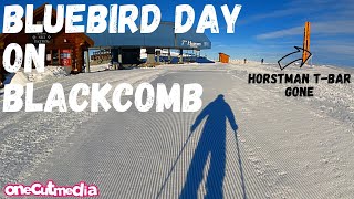 Blue Bird Day on Blackcomb  Back to the Steeps...