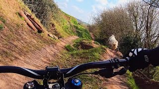 DOWNHILL BIKES AT BMCC!!! BIKER VS SHEEP