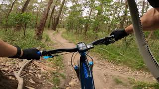 Aneurysm Trail @ Lysterfield MTB
