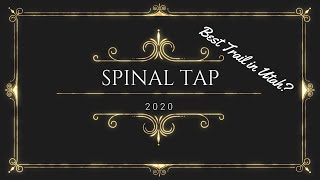 Spinal Tap 2020(Best Trail in the State?)