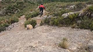 Gallinas