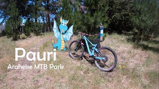 Pauri - Arakehe MTB Park - Whanganui