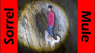 2,000 ft Under Nowhere in the Sorrel Mule Mine!