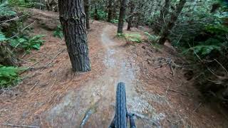 Tumeke @ Whakarewarewa Forest Rotorua