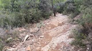 Rail