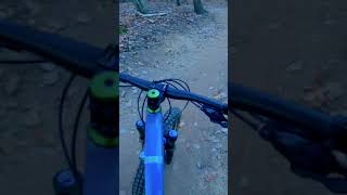 Lone Lake Park singletrack