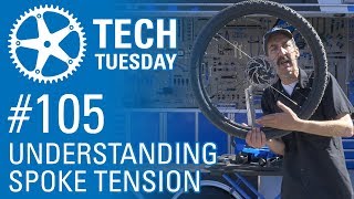 Understanding Spoke Tension: LIVE at Sea Otter...
